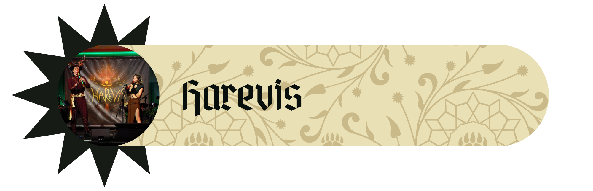 Harevis – baner zespołu z RawiKonu ze zdjęciem muzyków w strojach historycznych na scenie